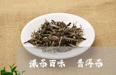 谦茶百味 普洱茶/2023031501038